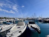 Single-Reise Südfrankreich - Antibes