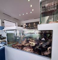 Single-Reise Südfrankreich - Cannes