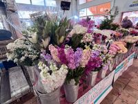 Single-Reise Südfrankreich - Cannes