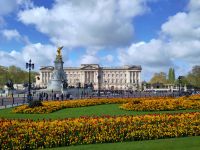 Buckingham Palace mit Victoria-Denkmal, Narzissen und Tulpen