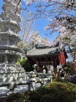 Haedong Yonggungsa-Tempel