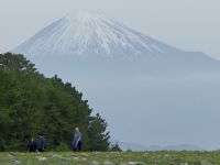 Shimizu, Ausflug...Pinienwald Miho no Matsubara