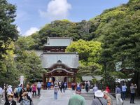 Kamakura, Tsurugaoka Hachiman-gu Schrein