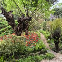 04 Gardone, Hellergarten