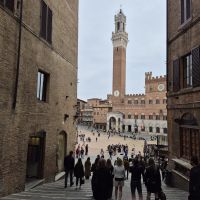 16 Siena