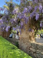 Garten am Nasridenpalast