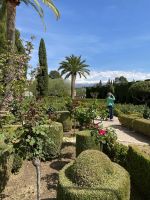 In den Gärten der Alhambra gedeihen auch Palmen