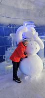 Im Schneehotel