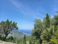 Blick von oben Sant Antonino
