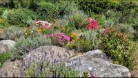 Parc de Saleccia
