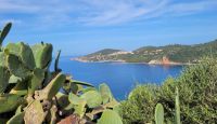 Blick auf Calvi