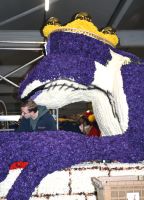 Aufbau Blumencorso