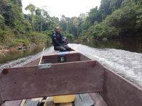 Bootsfahrt den Fluß Aufwärts  - Taman Negara - Malaysia