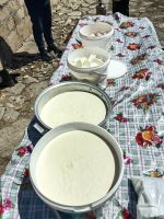 Aus der Milch werden Joghurt, Butter und Käse hergestellt