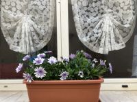 Fensterdeko
