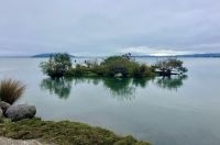 Lake Rotorua geladen mit Schwefel