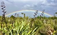 Täglicher Regenbogen