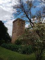 Die historische Turme in Évora - Portugal 