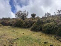 Wanderung auf der Hochebene Paul de Serra