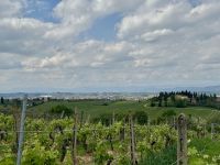 2. Tag: Weinverkostung auf einem Bauernhof bei Empoli