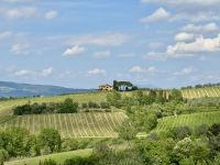 2. Tag: Weinverkostung auf einem Bauernhof bei Empoli