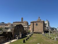 ...im Forum Romanum (9)