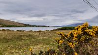 Connemara