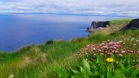 Cliffs of Moher