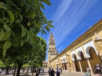 Garten der Moschee- Kathedrale in Cordoba