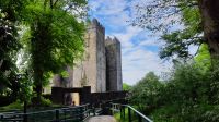 Bunratty Castle and Folk Park