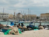 Am Hafen von Trani 