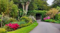 Blarney Castle and Gardens