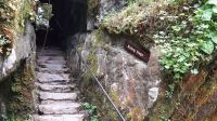 Blarney Castle and Gardens