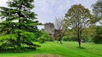 Blarney Castle and Gardens