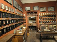 Palazzo Chigi. Apotheke 