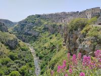 Matera