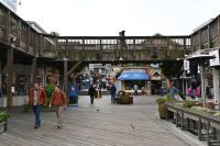 Inselhüpfen Hawaii -  San Francisco - Pier 39 (2)