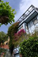 Inselhüpfen Hawaii -  San Francisco - Lombard Street (6)