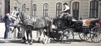 Wien