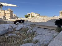 Griechenland, Athen, Akropolis