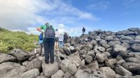 Wanderung, Insel Lobos 