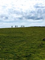 The Dorset Downs