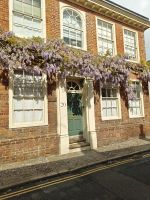 Wisteria in Cambridge