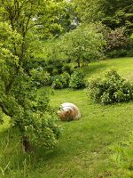 Benney garden