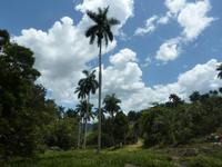 Sierra del Escambray