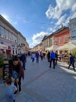 Novi Sad-Fußgängerzone 