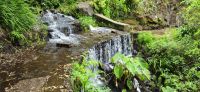 Levada Nova