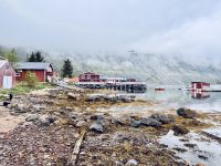 Kreuzfahrt Norwegen - Insel Senja