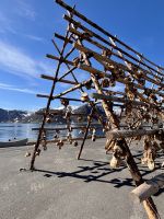 Kreuzfahrt Norwegen - Honningsvåg