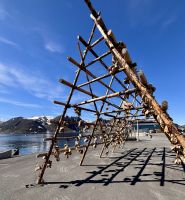 Kreuzfahrt Norwegen - Honningsvåg